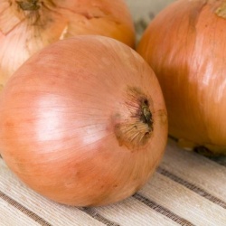 В Японии изобрели не вызывающий слез лук