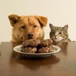 Как укрепить силу воли? Советы от Папы Самоконтроля .