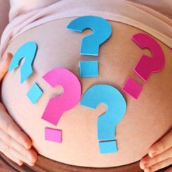 Учёные выяснили, что влияет на пол будущего ребёнка