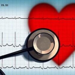 Российские ученые планируют создать искусственное сердце