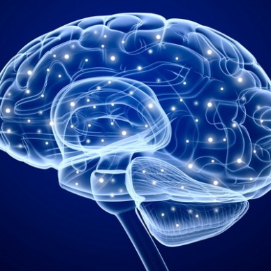 Исследование: мозг иногда перегружает себя лишней работой