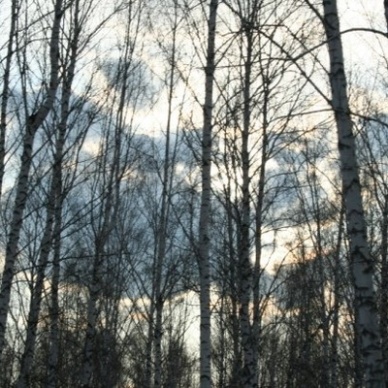 Илларион начинает распутицу