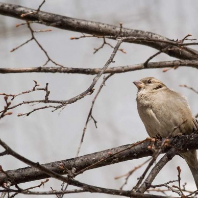 Пришло время жечь рухлядь