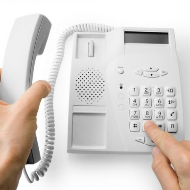 О подготовке и проведении ЕГЭ расскажут по телефону