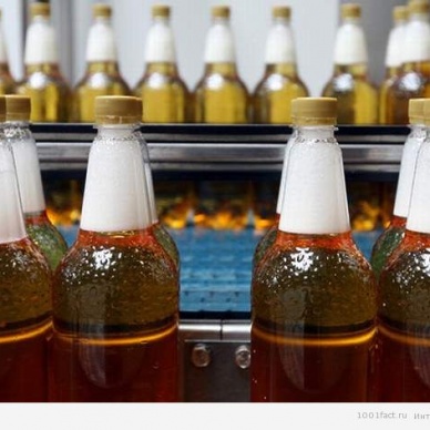 Пиво не будут продавать в пластиковой упаковке