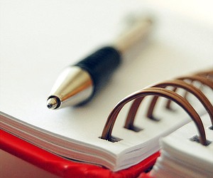 О пенсионных вопросах коллективу Тюменьстата