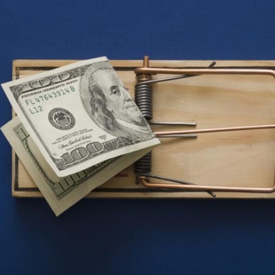 Бесплатный сыр в стажировке