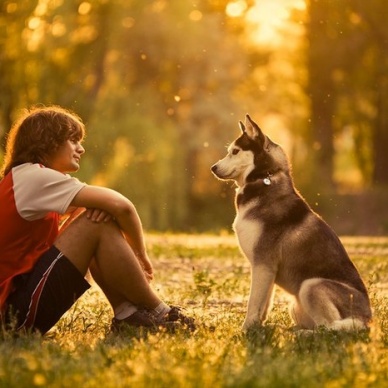 Ученые: Собаки "приручили" человека глазами
