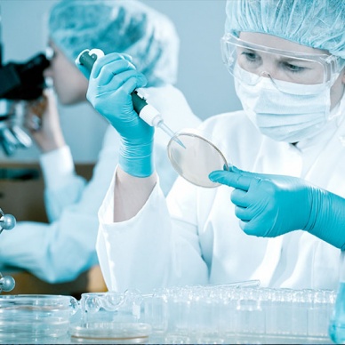 Томские ученые создали "цемент", заменяющий костную ткань