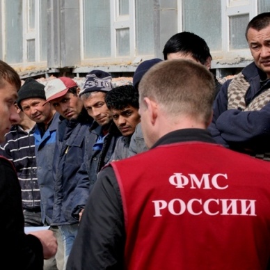 В России мигрантам занятым в сельском хозяйстве могут отменить экзамен