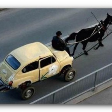 Топ 10 — самых идиотских ситуаций