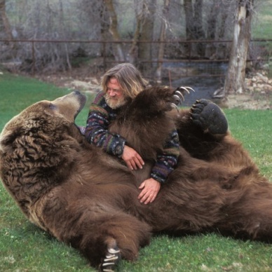 В Уватском районе медведь вышел в рабочий посёлок