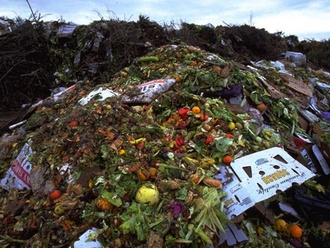 Российским супермаркетам могут запретить уничтожать непроданную еду