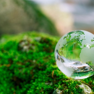 День эколога