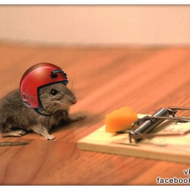 7 мыслей, которые тянут Вас вниз