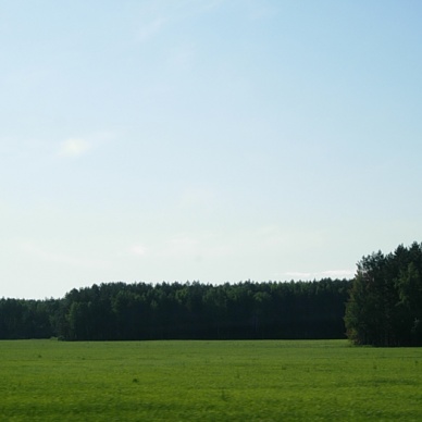 По народному календарю – день Никиты Гусятника, день Евтихия