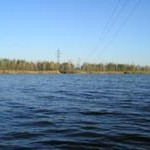 В Тюмени запретили купаться в Войновском пруду