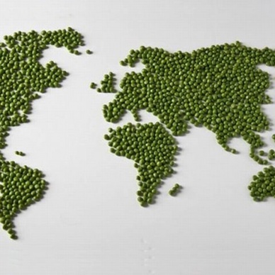 10-летнего мальчика оштрафовали за роман с замужней женщиной