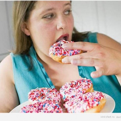 Кости человека могут быть виновны в наборе лишнего веса