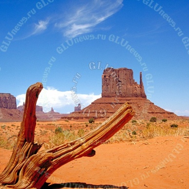 Американка неделю просидела в застрявшей машине в компании мертвого мужа