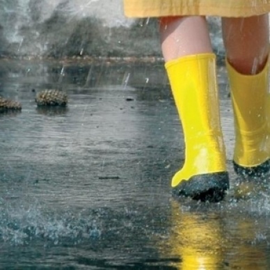 Штормовое предупреждение: 28–30 июля обещают сильный дождь и ветер