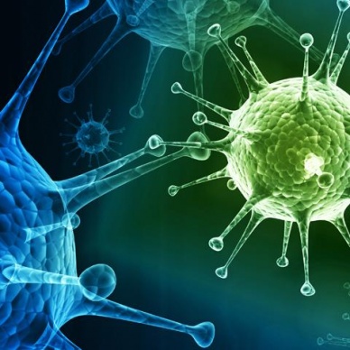 Ученые обнаружили в Сибири гигантский вирус