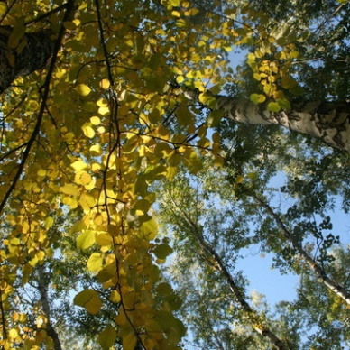 Приборка рухляди сулит благополучие на осень