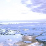 «Роснефть» готовится к бурению в Карском море – Гринпис бьет тревогу