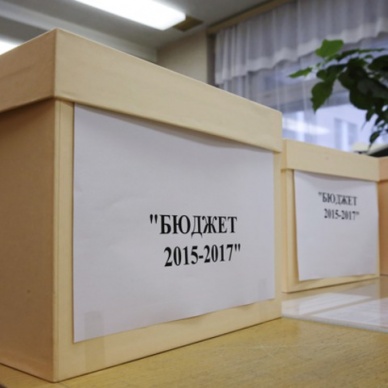 Бюджет области скорректирован: доходы упали, субсидии увеличились