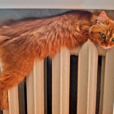 В Тюмени завтра начнется отопительный сезон