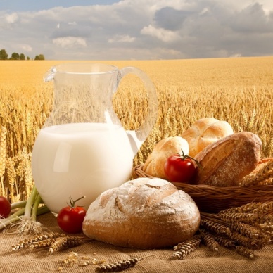 Тюменский район: работникам сельского хозяйства – почет и уважение!