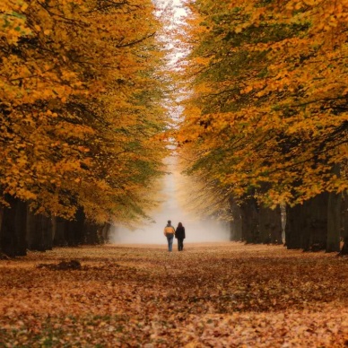 День осенних миражей