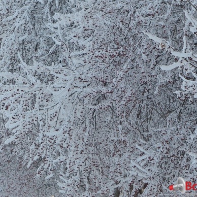 Сегодня родятся кузнецы и художники