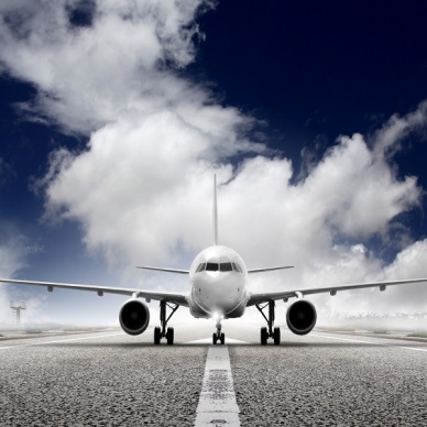 Владимир Путин поручил приостановить авиасообщение с Египтом