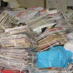 Волонтеры собрали у тюменцев 700 килограммов макулатуры