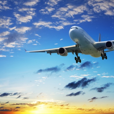 Еще одна страна запретила полеты в Египет