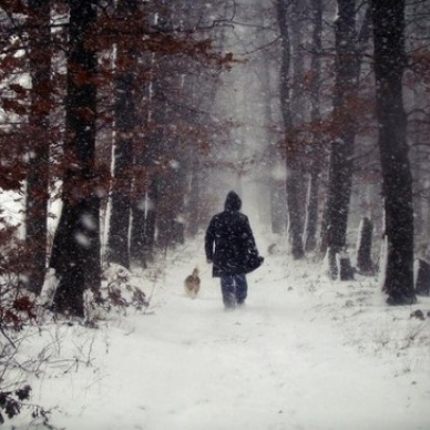 Запоздалая любовь: вторая молодость, позднее счастье. Почему же ты пришла так поздно?