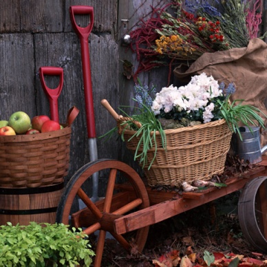 В Тюмени открывается «Школа садовода»