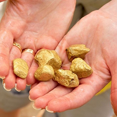 В Израиле вырастили искусственное золото