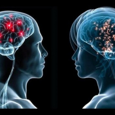 Ученые развеяли миф о "мужском" и "женском" мозге