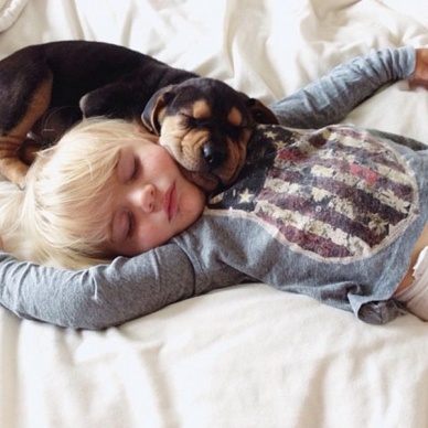 Исследование: домашние питомцы улучшают сон своих хозяев