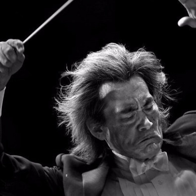 33  ругательства: какие фразы используют творческие люди?