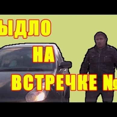 Быдло на встречке