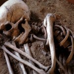 В Ялуторовском районе обнаружен скелет женщины, убитой сожителем в 2010 году