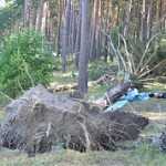 Дело о жертвах урагана из Кемерова стало особо важным