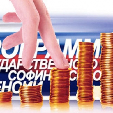 Участникам Программы государственного софинансирования пенсий необходимо осуществить платежи до 30 декабря 2016 года