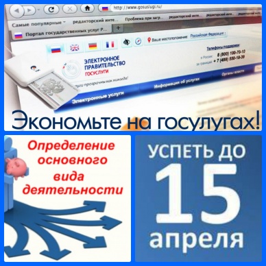 Подтверждение основного вида экономической деятельности