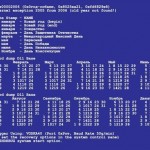 В свой праздник тюменские сисадмины станцуют с бубнами