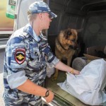 Торговля под прикрытием