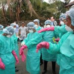 Лихорадка XXI века. Чем угрожает миру вирус Эбола